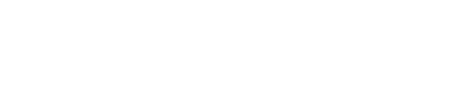 Novig